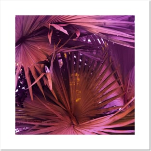 Palm tree - Warm pink - nature photography Posters and Art